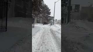 #snow #torontotravelguide #winterholiday #winter #torontotourism #snowfall #winter #travel