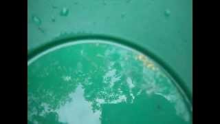 RCM Fluid Bed Gold With Yankee Gold Prospecting Adventures Pt. 2 of  2