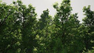 Trees - mixed wind - Demo - Unreal Engine 4 (4K)