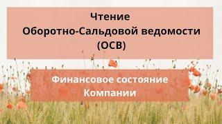 Чтение Оборотно Сальдовой ведомости (ОСВ), Финансовое состояние Компании, 2020г, Казахстан