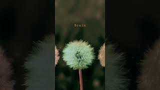 Listen 1 hour loop full version #music #relaxingmusic #pianomusic #piano