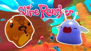 Медовый слайм и фосфорный гордо в Slime Rancher