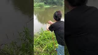 Unbelievable fish catching net bait traps #fishing #fishingtips #fishingvideo