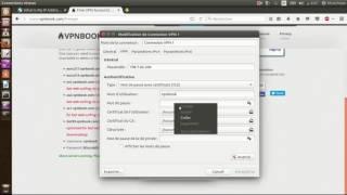 How to set up OpenVPN Free on Ubuntu / Mint any version 2017