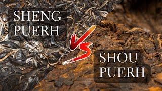 Sheng vs Shou Puerh - Comparing 2 Different Puer Teas, Ripe Puerh vs. Raw Puerh