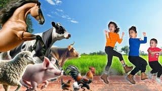 Educational Farm Animal for Kids | Fun and Educational Animal Adventure with Atrin, Soren & Nikan