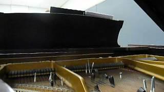 Sonata V by John Cage for Prepared Piano, Inara Ferreira