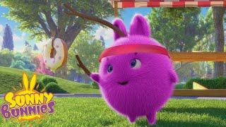Chasing Donuts - Sunny Bunnies | Cartoons For Kids