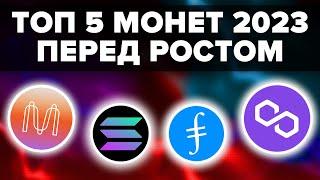 ТОП 5 КРИПТО МОНЕТ ЧТО СТОИТ НАКАПЛИВАТЬ ПЕРЕД НОВЫМ БУЛЛРАНОМ БИТКОИНА (2023 - 2025)