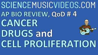 sciencemusicvideos AP Bio 2020 Review Question of the Day 4, Cancer Drugs and Cell Proliferation
