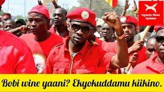 Biography; Who is Bobi Wine?