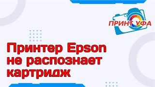 Ремонт принтера Epson не распознает картриджи, проблема со сбросом чипов. Поломки струйного принтера