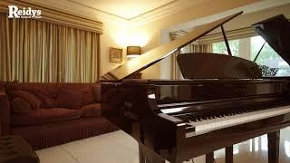 Reidy's Home Of Music - Yamaha Clavinova CLP795GP