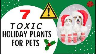 7 Toxic Holiday Plants for Pets That You Need to Know