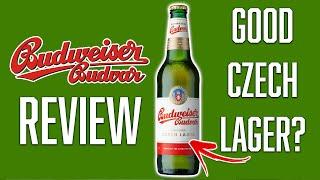 BUDWEISER BUDVAR REVIEW | ONE MINUTE BEER REVIEW - EP 10