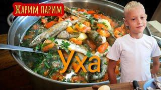 Уха по- домашнему. Вкусно и просто. Готовим дома.