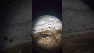 This is not Jupiter!!  #microscope #organic #food