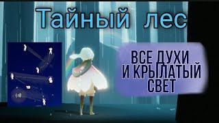 Все духи и крылатый свет//Тайный лес//Sky: дети света