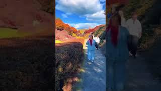 #paradise #pinoy #nz  #trending #viralvideo #viralshorts #autumn