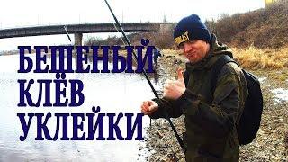 Рыбалка на Великой. Псков. Первая рыбалка на открытой в воде в 2019.  Fishing in Russia