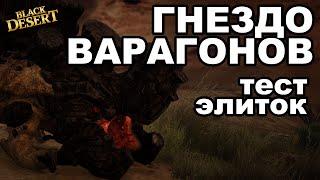 Элитки в Гнезде Варагонов. Тест фарма серебра в Black Desert (MMORPG - ИГРЫ)