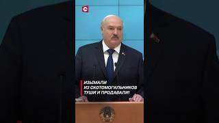 Лукашенко: Изымали из скотомогильников туши и продавали!