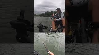 Kayak Vs. Monster
