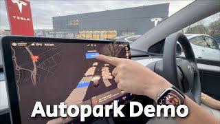 Tesla Autopark Demo!