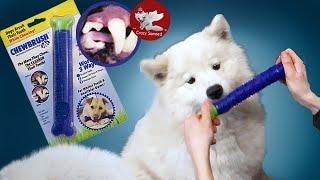 Зубная щетка для собак ChewBrush, обзор и отзыв. Чистим зубы самоеду