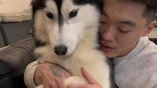【合集】會發嗲撒嬌的寶寶，誰不愛呢~
