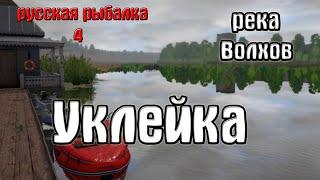 Русская рыбалка 4(рр4/rf4) - река Волхов. Уклейка.