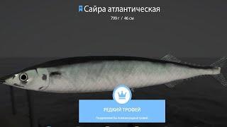 НОРВЕЖСКОЕ МОРЕ 1000 СЕРЕБРА В ЧАС  НА КРЕВЕТКИ в Русской Рыбалке4 СУПЕР ФАРМ