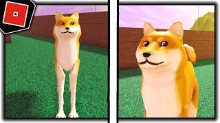 How to get "DOGE" BADGE + MORPH/SKIN in TREVOR CREATURES TEST! - Roblox