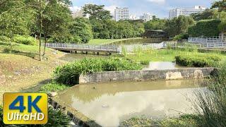 Jurong Eco-Garden | SingaporeIsland