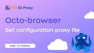 Use Pia S5 Proxy with Octo Browser to configure proxy files