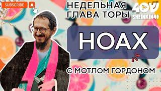 Глава 2. НОАХ - "Ной". Тора без цензуры с равом Мотлом Гордоном / Sheinkin40 podcast