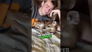 A Baby Deer finds a loving Home with A Couple who saved its Life ️