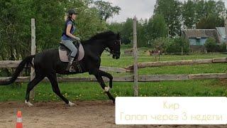 Кир. Галоп