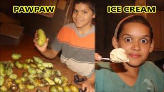 PAWPAW ICE CREAM