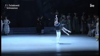 Act 3 "Black Swan" Pas de deux - Denys Cherevychko and Kiyoka Hashimoto