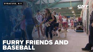 Bark in the Park returns to NBT Bank Stadium