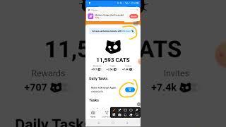 Update on cats AirDrop eligibility criteria - ton transactions oh live score transactions