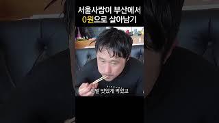 서울사람이 부산에서 0원으로 살아남기