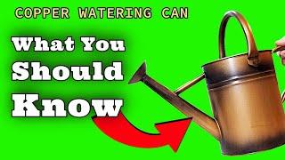 Homarden 1 Gallon Copper Decorative Watering Can - Metal Watering Cans for Indoor and Outdoor