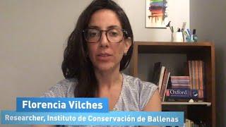 Studying the whales | Ocean Literacy Training Course