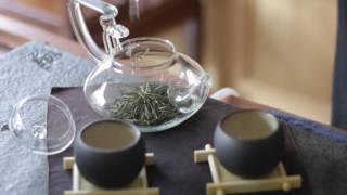 Teasenz® Glass Teapot: Loose Leaf Tea Brewing (w Chinese Tea Music)