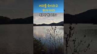 정약용명언 등급만 떨어진다 #명언 #좋은글 #지혜 #인생조언 #삶의지혜