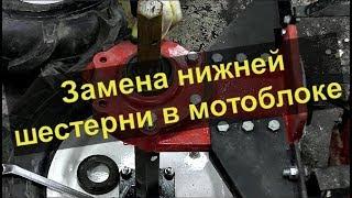 Замена нижней шестерни в китайском мотоблоке