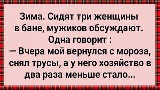 У Мужа От Мороза Хозяйство Спряталось! Сборник Свежих Анекдотов! Юмор!