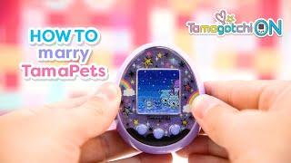 Tamagotchi ON | How to Marry TamaPets